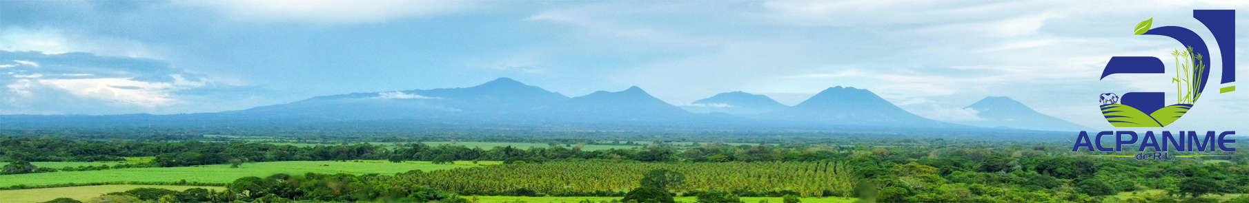 ACPANME DE R.L.